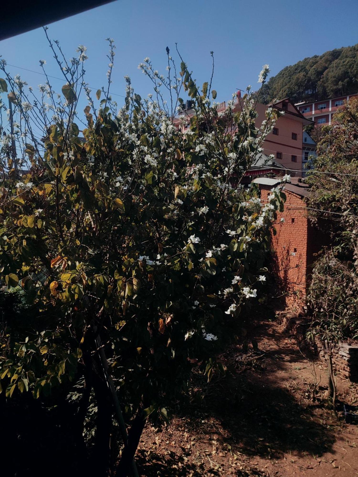 Homestay Sunrise View Tansen